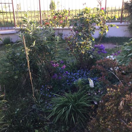 Gugi Suite Al Pian מראה חיצוני תמונה