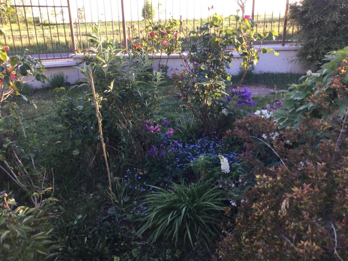 Gugi Suite Al Pian מראה חיצוני תמונה